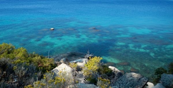 Lake Tahoe's multitude of colors are along the Incline trail. Photos/Kathryn Reed