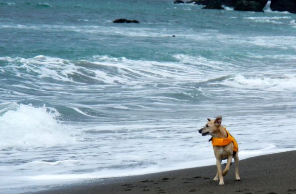 California sees third-warmest October