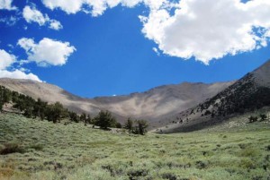 Boundary Peak as seen the Trail Canyon side. At 13,140 feet, it is Nevada highest point, though overshadowed by nearby peaks on the California side of the border. The peak was part of California before an 1892 geological survey moved the mountain within state lines. (Michelle Slaton/US Forest Service)