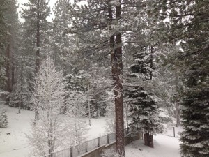 Snow covers a Meyers backyard on Nov. 1. Photo/Provided