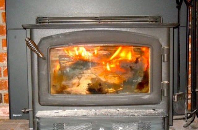 Invasive species may be traveling on firewood