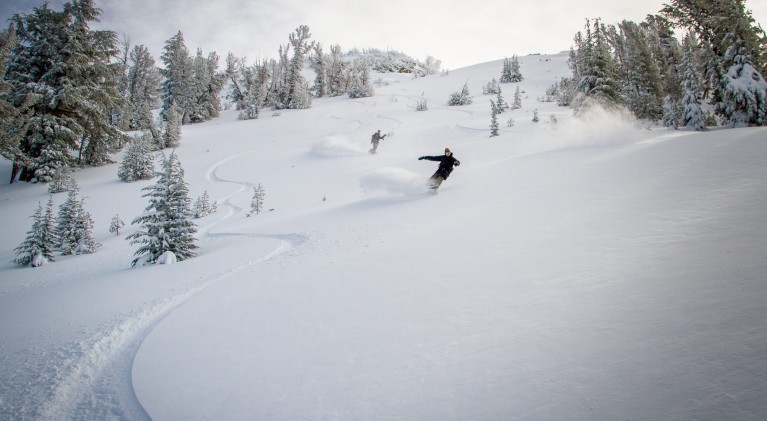 Backcountry enthusiasts plow through the pow