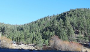 Remnants of the resort are near the U.S. Forest Service station on Spooner Summit. Photo/Bill Kingman