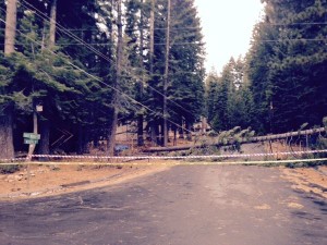 Downed power lines Dec. 11 on the South Shore. Photo/Provided