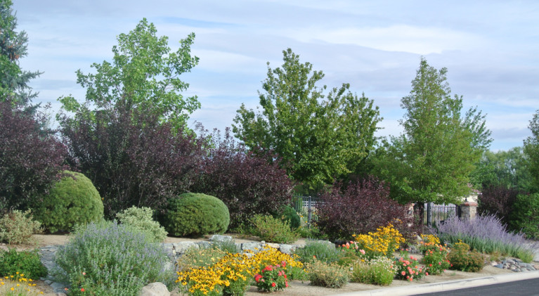 Free landscaping workshops in Lake Tahoe