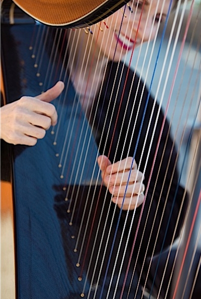 Anne Roos often plays at venues on the South Shore. Photo/Jarvis Photography