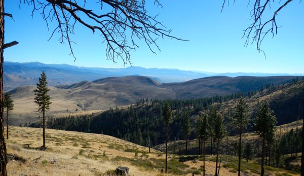 Dry, short grasses dot the landscape. Photos/Kathryn Reed