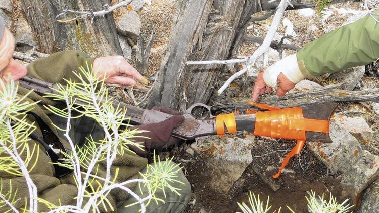 1882 rifle sparks archaeological quest in Nev.