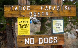 Many park users want dogs to be allowed at Tahoe Paradise. Photos/LTN