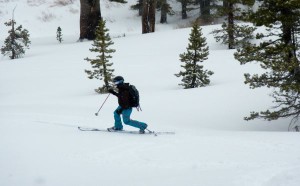 Backcountry skiers play in the fresh snow near Carson  Pass on Feb. 8. Photo/LTN