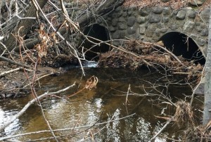 Improvements to Incline Creek should be finalized this year. Photo/Provided