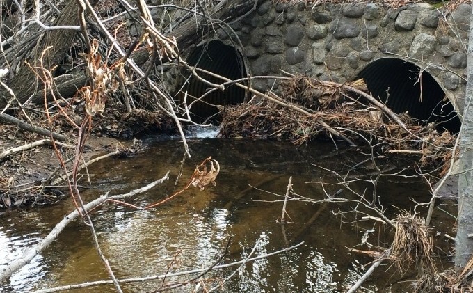 Funding approved for Incline Creek restoration