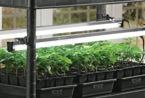 Indoor lights can bring seeds to life. Photo/Gardener’s Supply Company