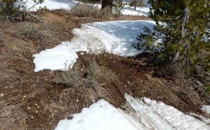 Snowmobilers damaging snowless terrain