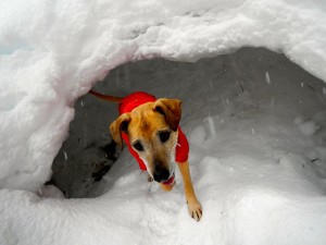 AJ explores a mini snow cave.