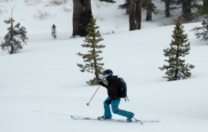 A backcountry skier enjoys freshies.
