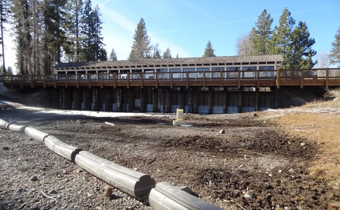 Stranded Truckee River trout relocated