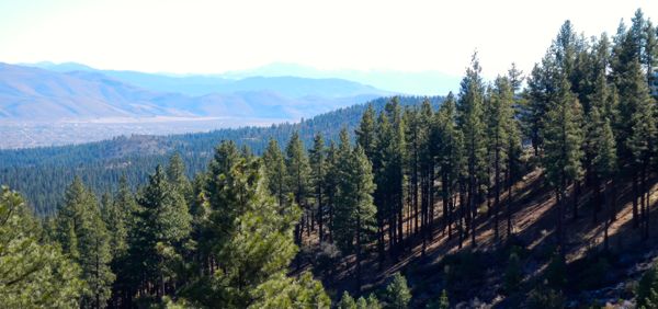 It doesn't take long for pretty views to unfold.