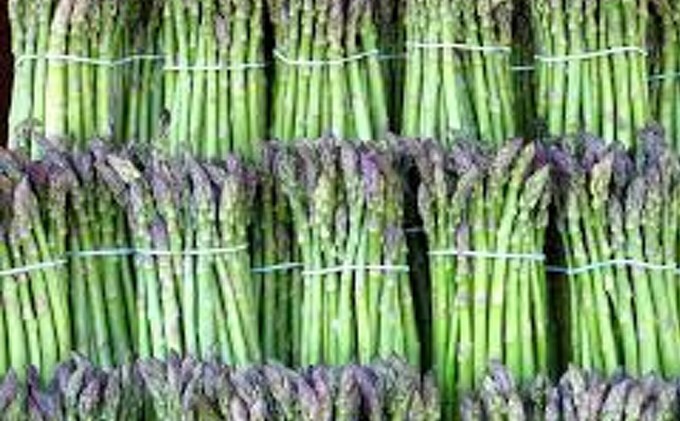 Gardeners needed for asparagus study