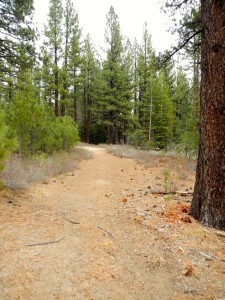 Part of the trail that exists is wide enough for vehicles.