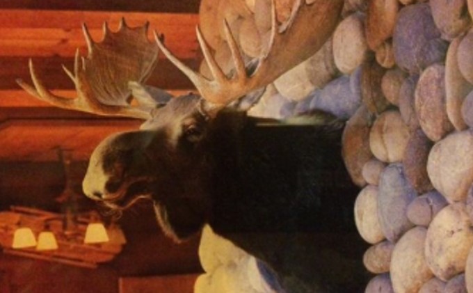 Moose head stolen from Sunnyside