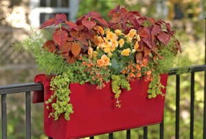 Railing planters filled with colorful combinations can add sparkle to balconies, decks and porches. Photo/ Gardener’s Supply Company