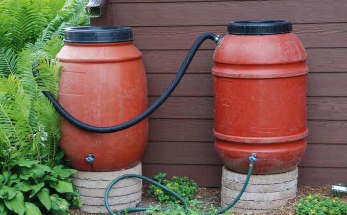 Collect water now to irrigate garden later