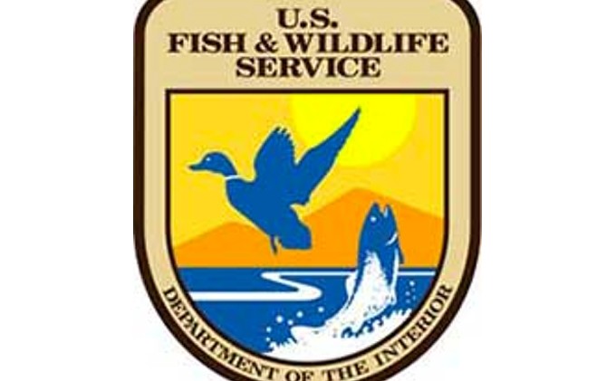 Opinion: Feds redefine endangered species protections
