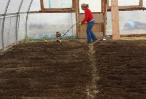 Produce from Steve Rozier's farm will be featured at his Tahoe markets. Photo/Provided