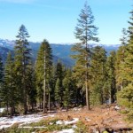 northstar