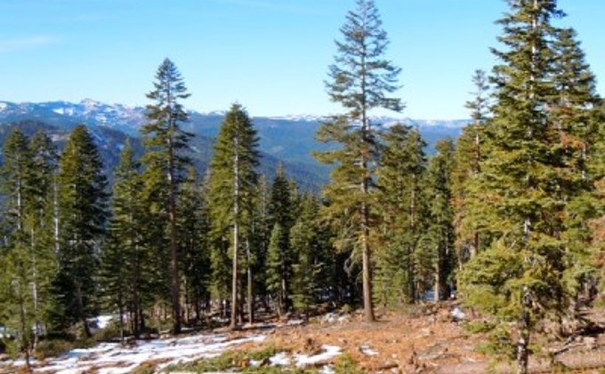 Lack of snow redefines rock skiing