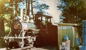 The train went through what is now California Tahoe Conservancy land. Photo/Rick Brower collection