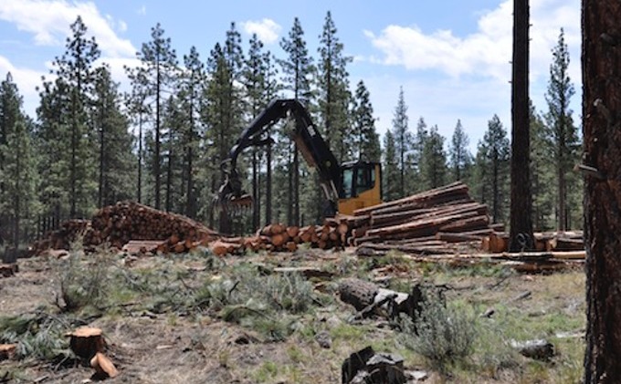 Thinning project designed to reduce wildfires