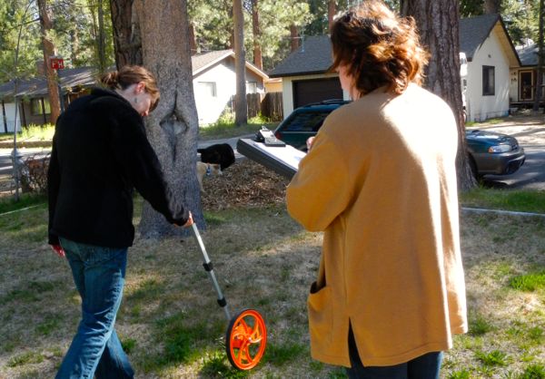 Turf buyback sprouts endless possibilities