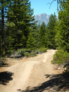 Mount Tallac from Lower Corral Trail.
