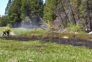 Firefighters make quick work of a fire June 8 at Incline Lake. Photo/USFS