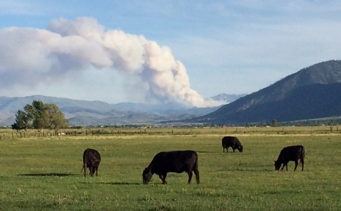 Winds whip Markleeville fire to 6,500 acres