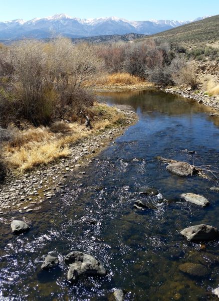 The Walker River that farmers in Mason and Smith valleys rely on. Photo/Anne Knowles