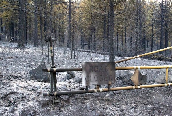 The Washington Fire in June threatened the town of Markleeville. Photo/Carolyn E. Wright/Copyright