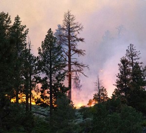 Markleeville is out of danger for now from the Washington Fire. Photo/Carolyn E. Wright/Copyright