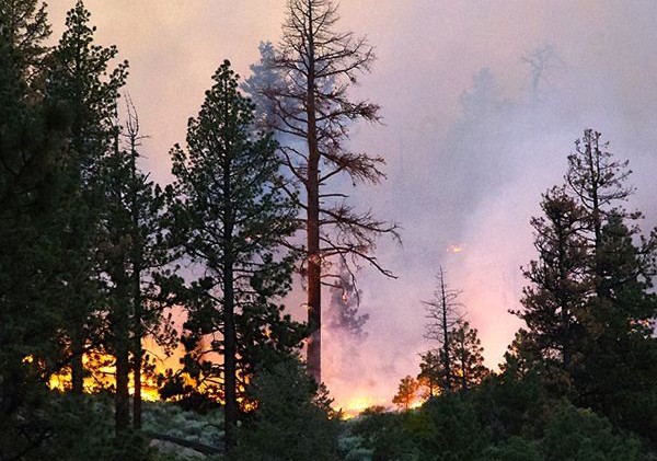 Markleeville out of danger from wildland fire