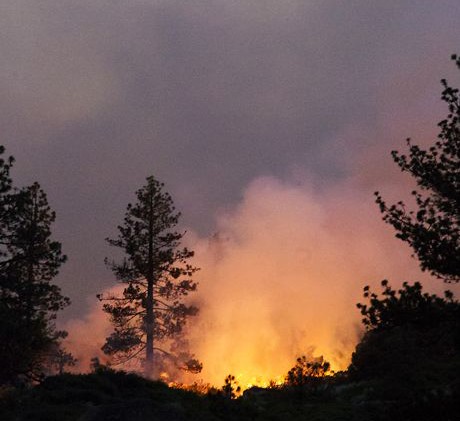 Washington Fire 56% contained