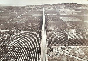 Near Covina in 1940. Photo/Ed Crook collection