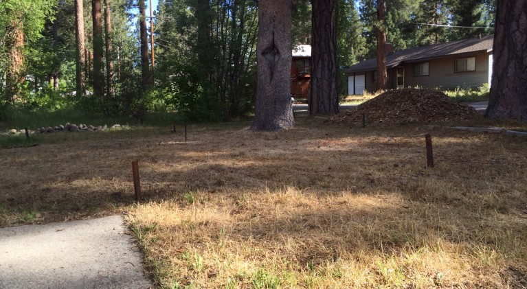 Law bars fines for dead lawns during drought