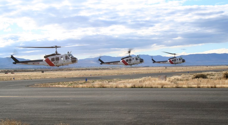 Wet winter will delay Nevada’s wildfire problems
