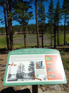 An interpretive sign above a dry Curtz Lake.