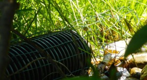 Pipes carry water through the dam and wire mesh keeps them from plugging up.