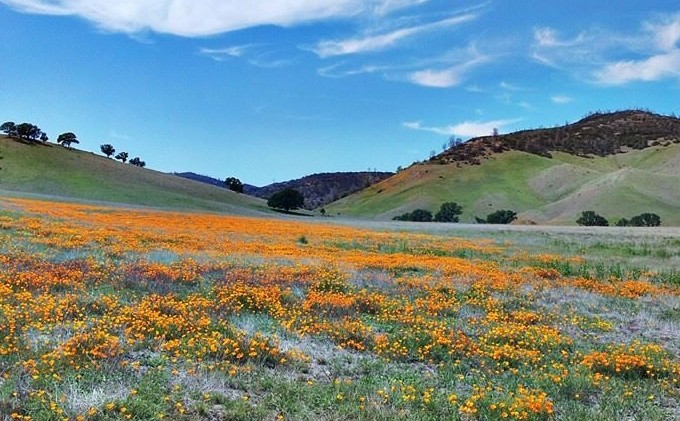 Interior’s inbox fills with comments on national monuments review