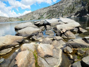 Pollen on the rocks at Winnemucca Lake.