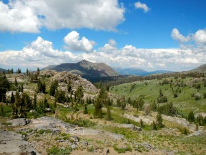 Wildflower hike, Winnemucca and Round Top lakes with Sue and AJ (Red Lake Peak)